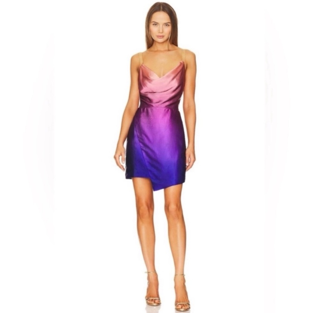 NWT Elliatt transference dress medium